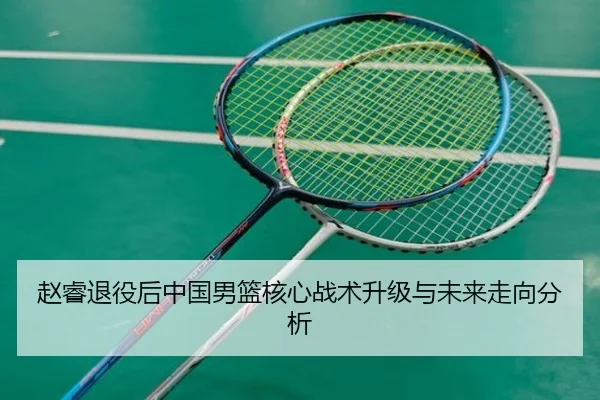 赵睿退役后中国男篮核心战术升级与未来走向分析