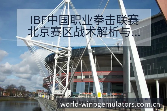 IBF中国职业拳击联赛北京赛区战术解析与选手表现 - pg电子